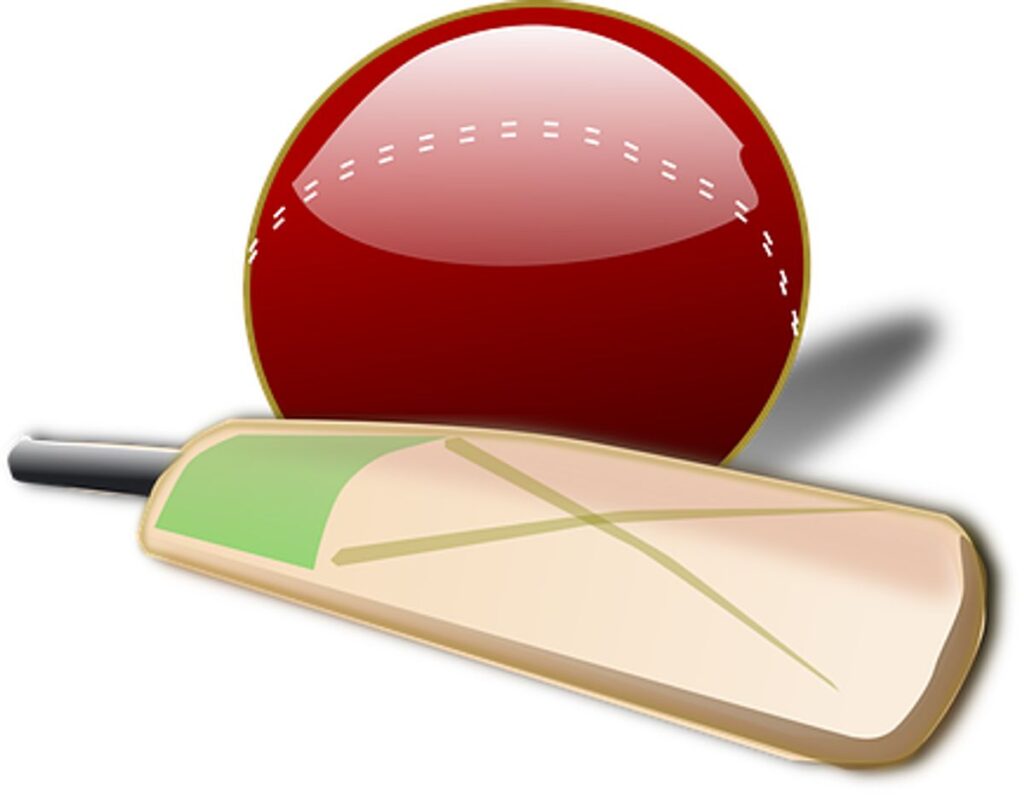 Cricket Revolution Review