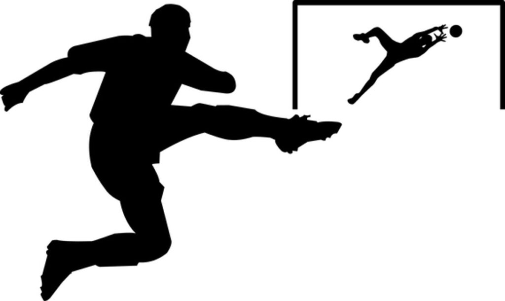 Winner Soccer Evo Elite