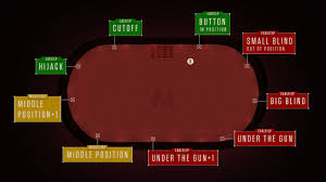 Daniel Negreanu Book