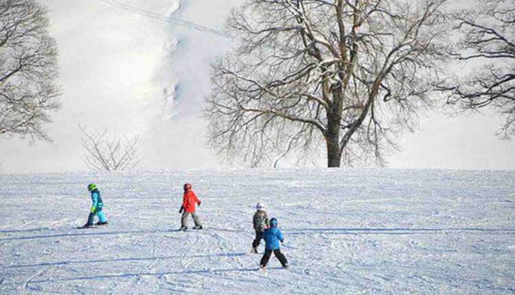 How to Play Golf for Golf Beginners