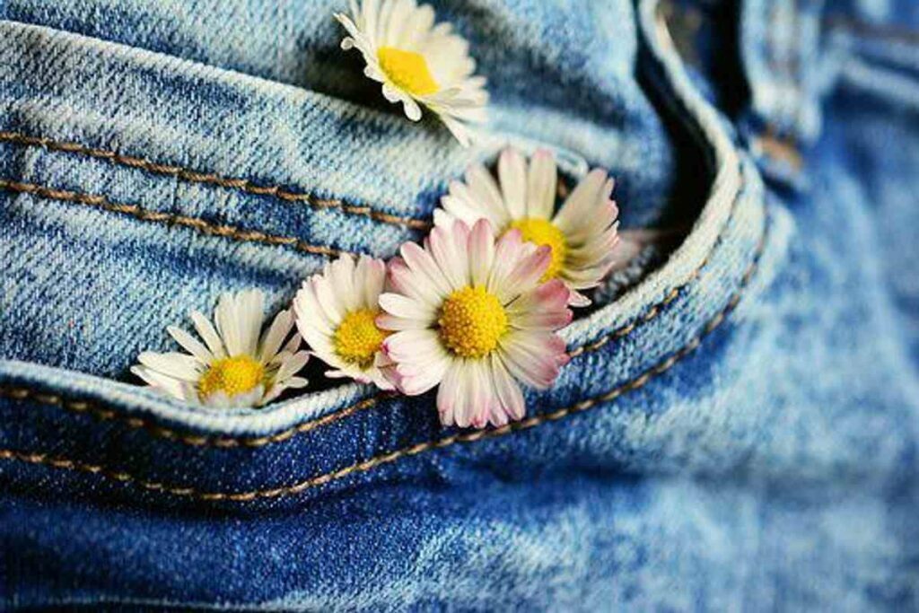 Citizens Of Humanity Jeans Review