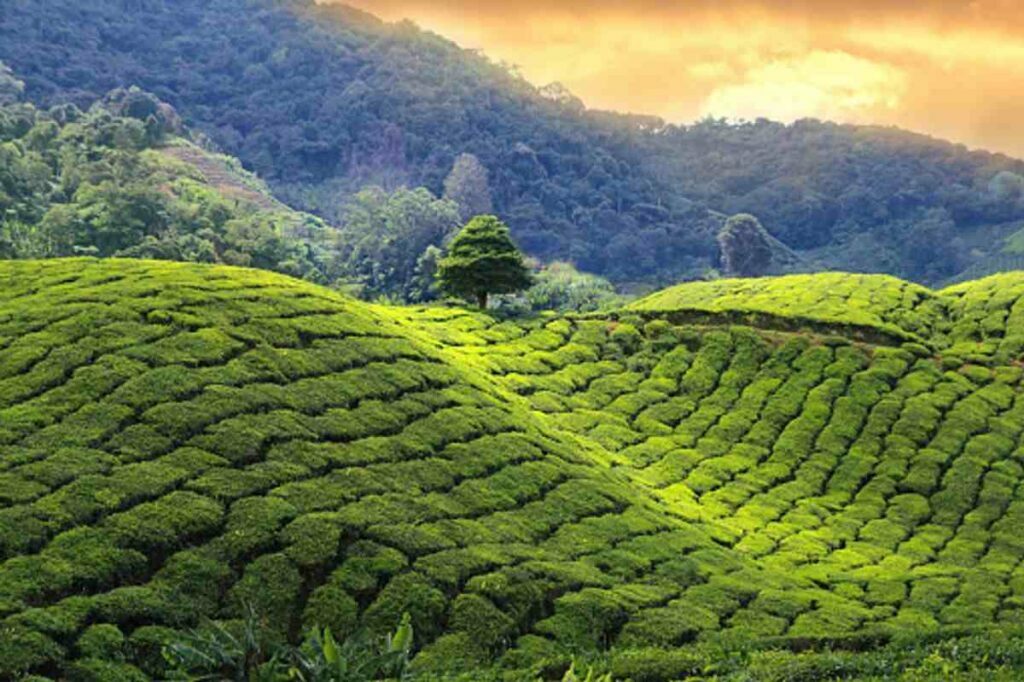 best places to visit in october in west bengal