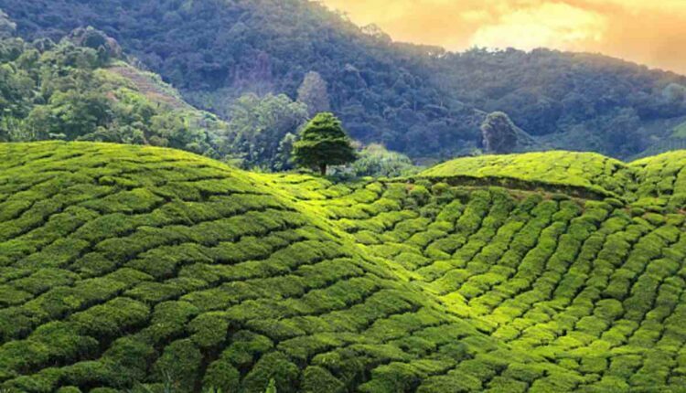 best places to visit in october in west bengal