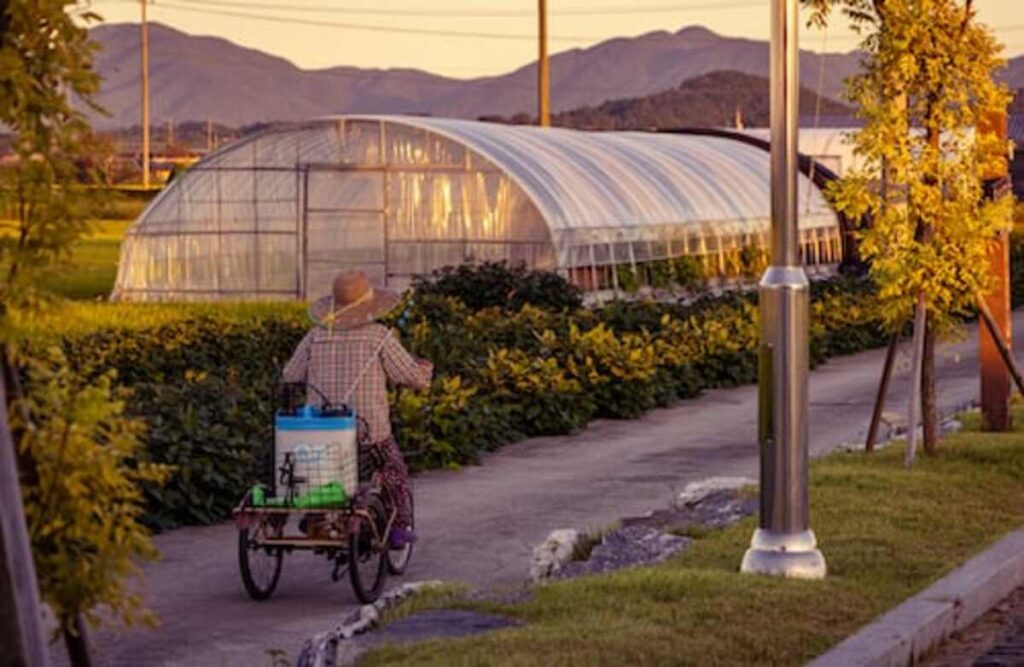 Best store to buy a mini trike