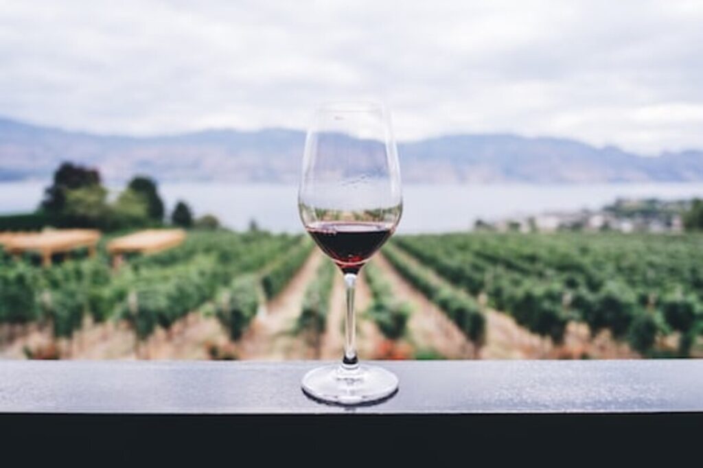 Climate Change on Vineyards