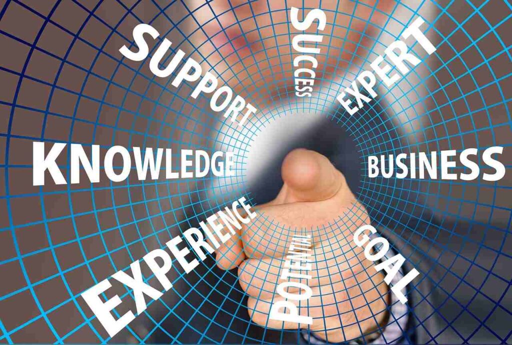 What is the role of a career consultant?