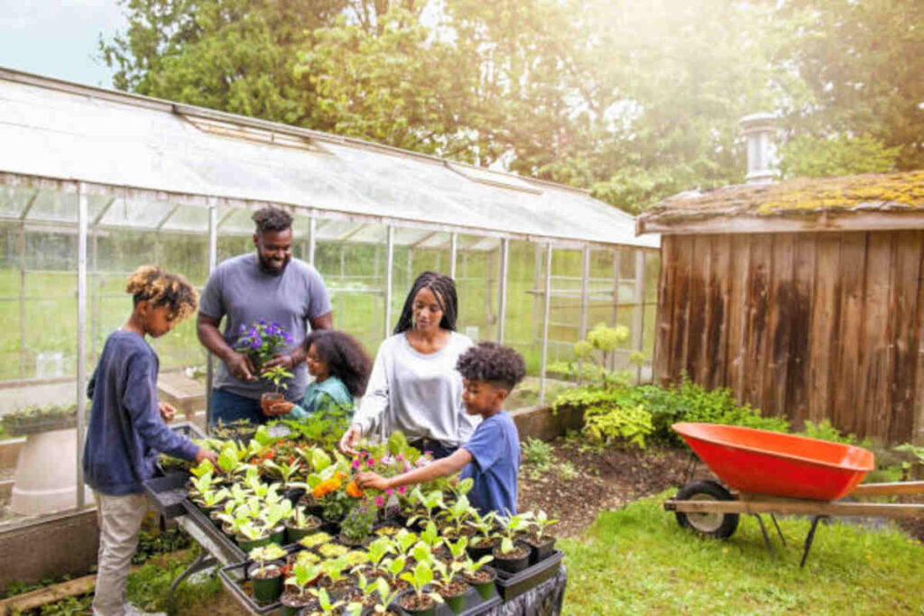 Find Gardening Supplies