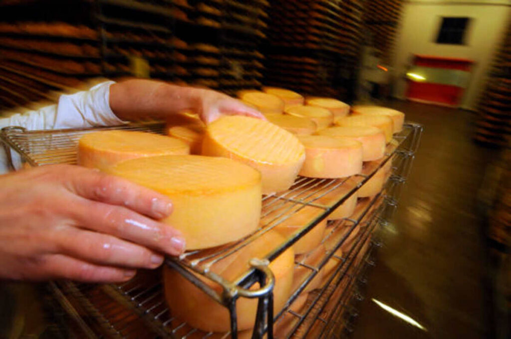 catering food and drink supplier
