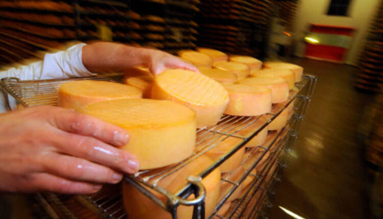 catering food and drink supplier