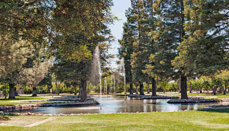Craigslist Farm and Garden Modesto