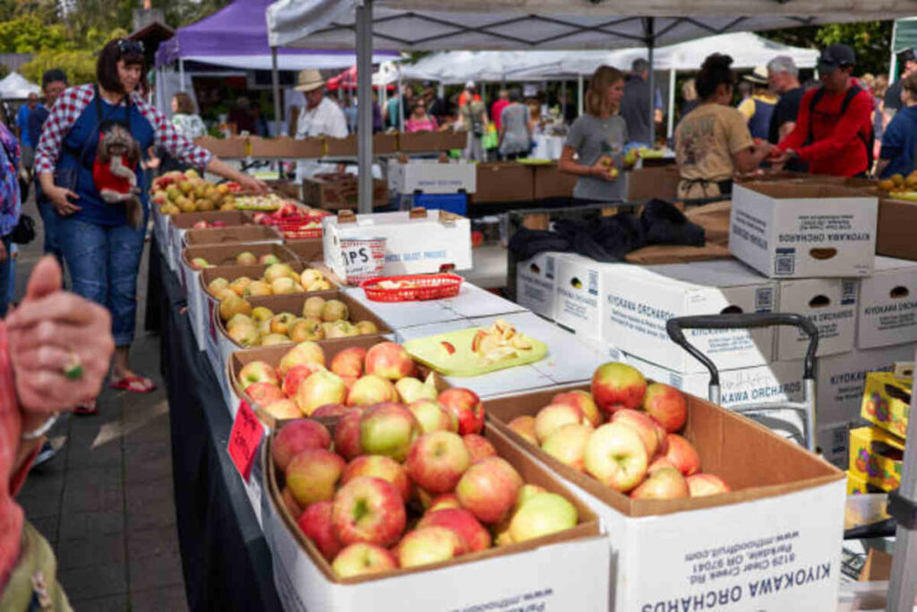bellingham food bank