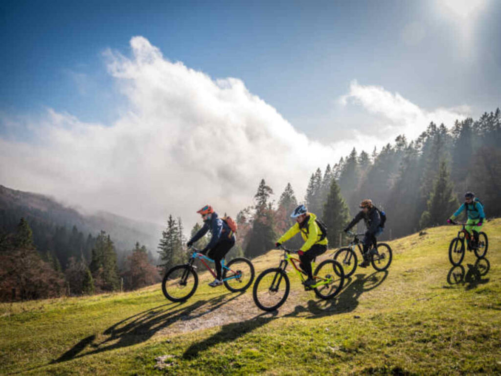 Fuji Bighorn 29 1.5 Mountain Bike