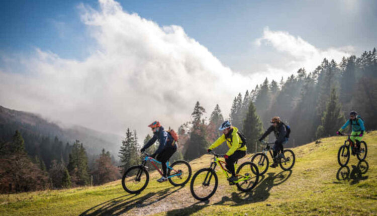 Fuji Bighorn 29 1.5 Mountain Bike