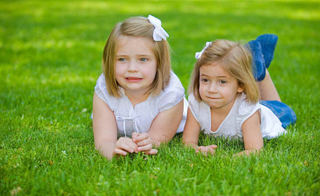 Bobbsey Twins