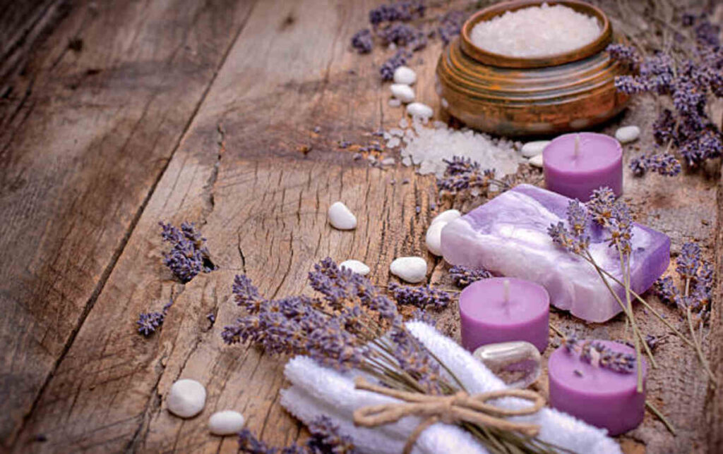 Lavender Stock