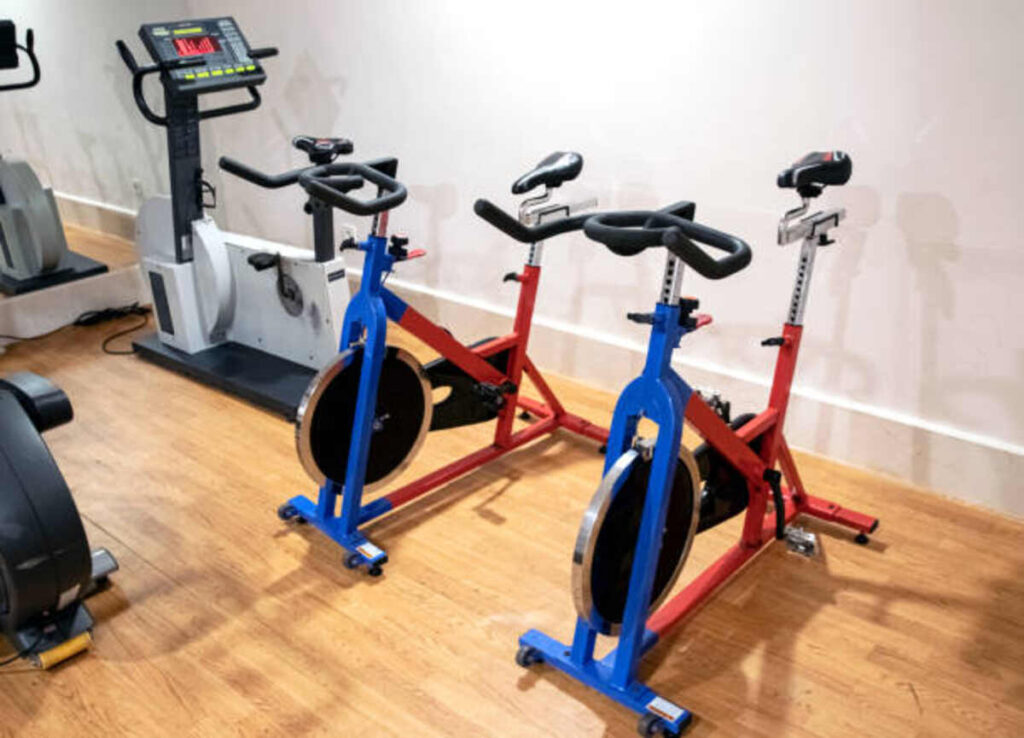 Cyclace Exercise Bike Stationary