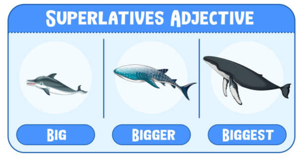 IELTS Reading Answers - What Do Whales Feel