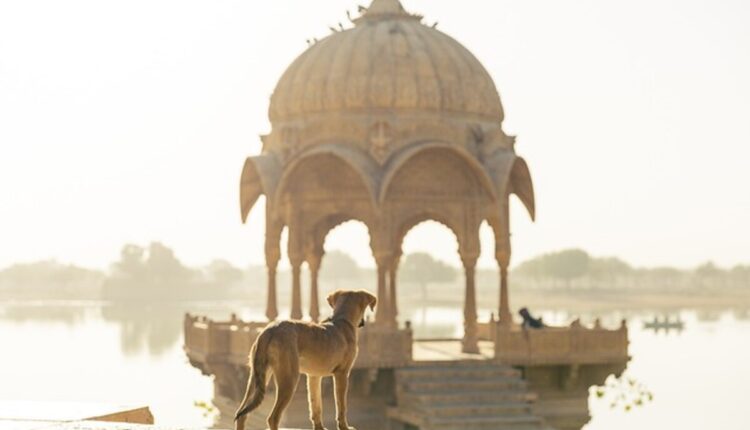 Typically the Interesting Info about airbnb.